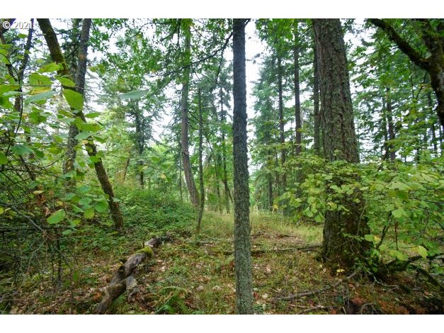 32475 Fox Hollow Rd Property Photo 20