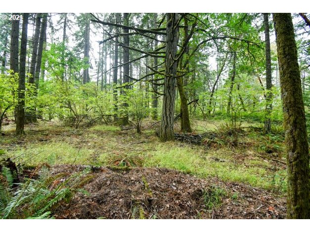 32475 Fox Hollow Rd Property Photo 21