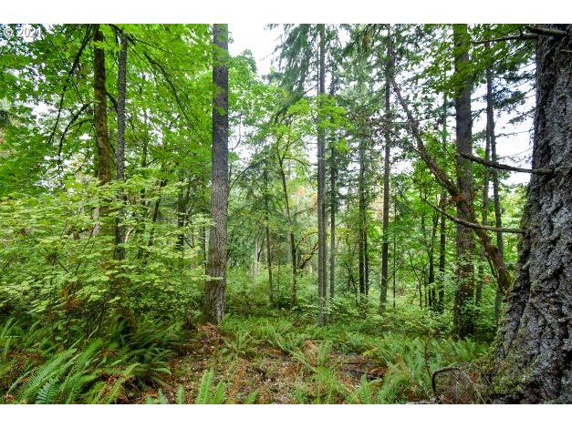 32475 Fox Hollow Rd Property Photo 22