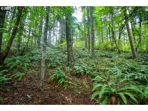 32475 Fox Hollow Rd Property Photo 24