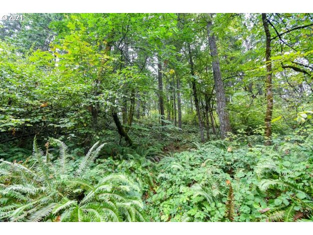 32475 Fox Hollow Rd Property Photo 25