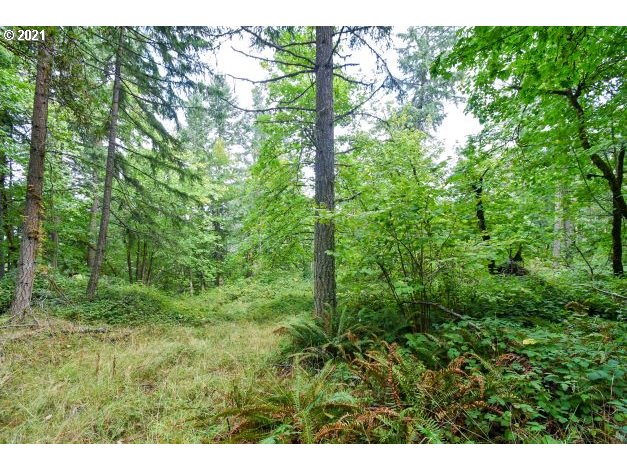 32475 Fox Hollow Rd Property Photo 26
