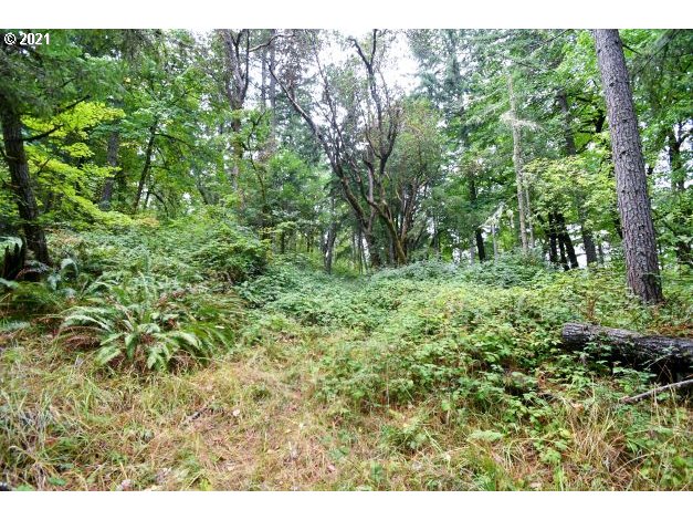 32475 Fox Hollow Rd Property Photo 27