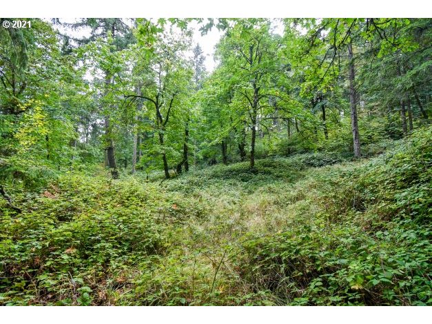 32475 Fox Hollow Rd Property Photo 28