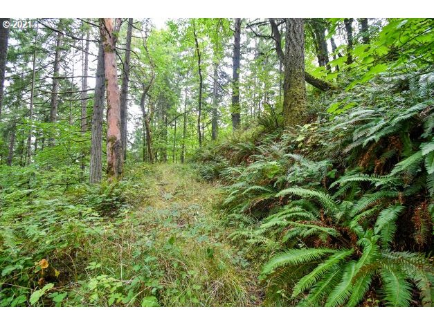 32475 Fox Hollow Rd Property Photo 29