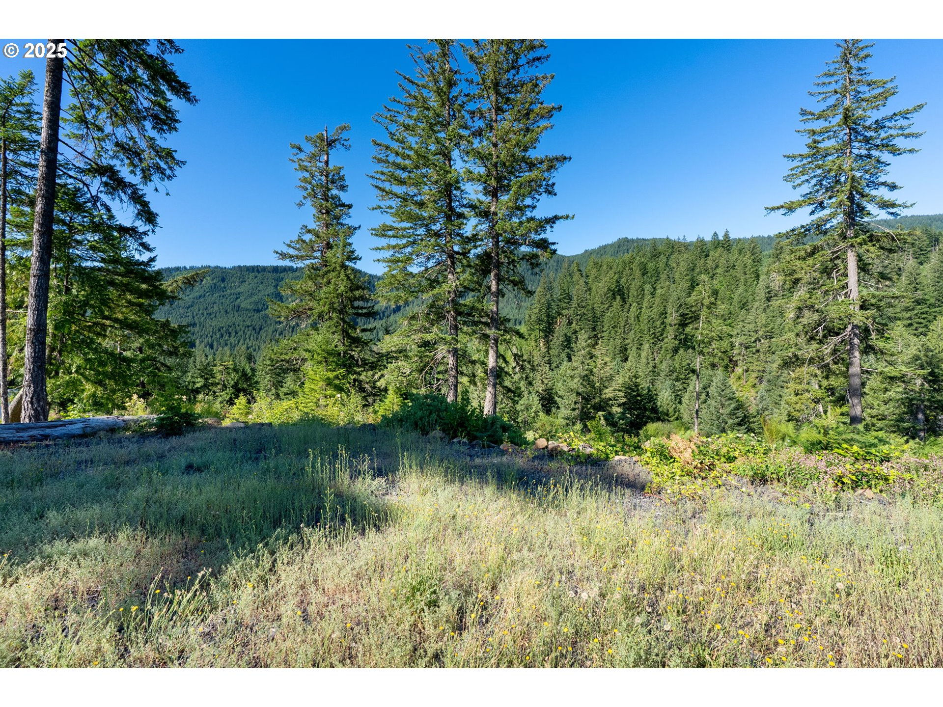Boulder Ridge Property Photo 17