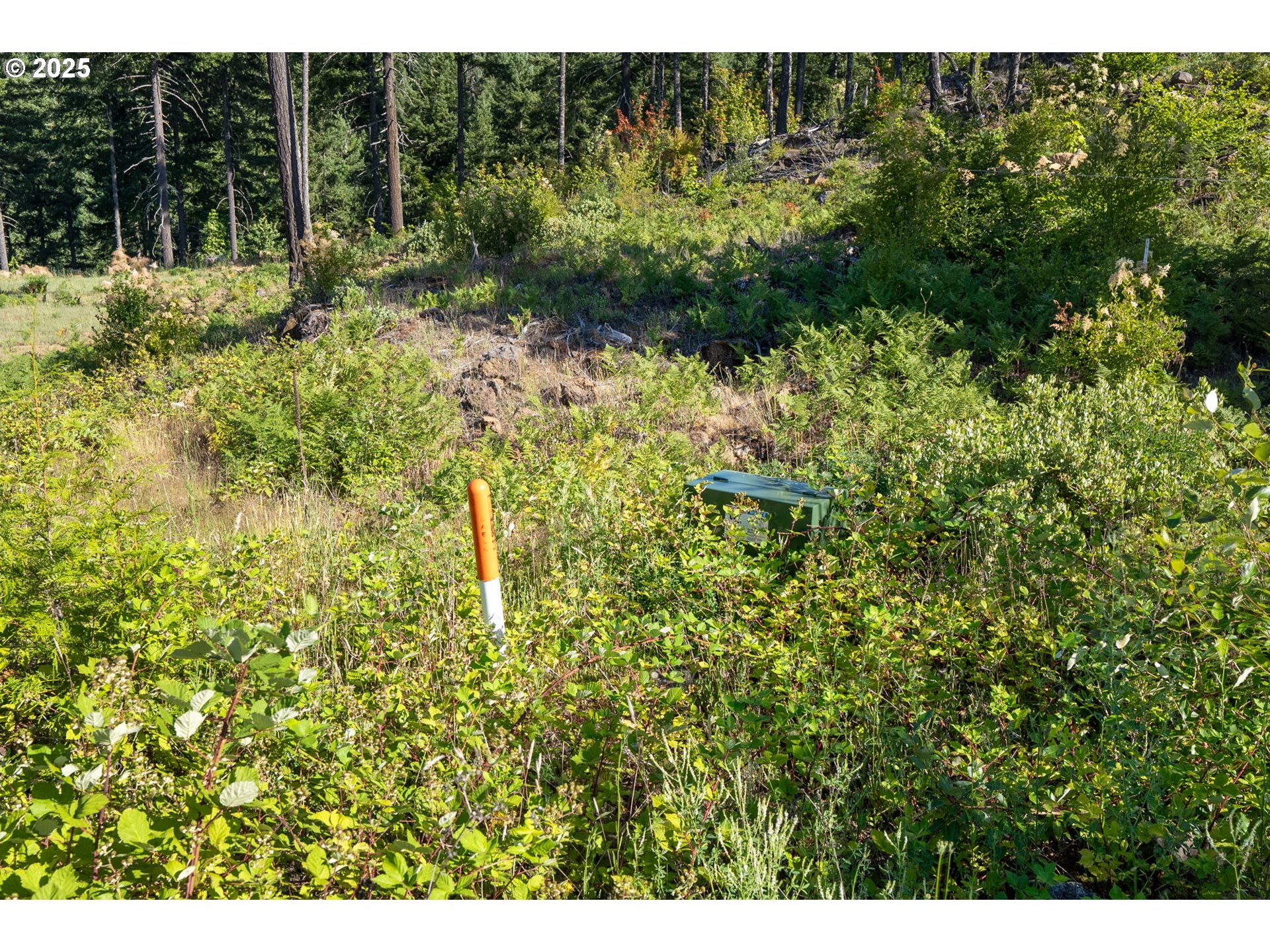 Boulder Ridge Property Photo 22