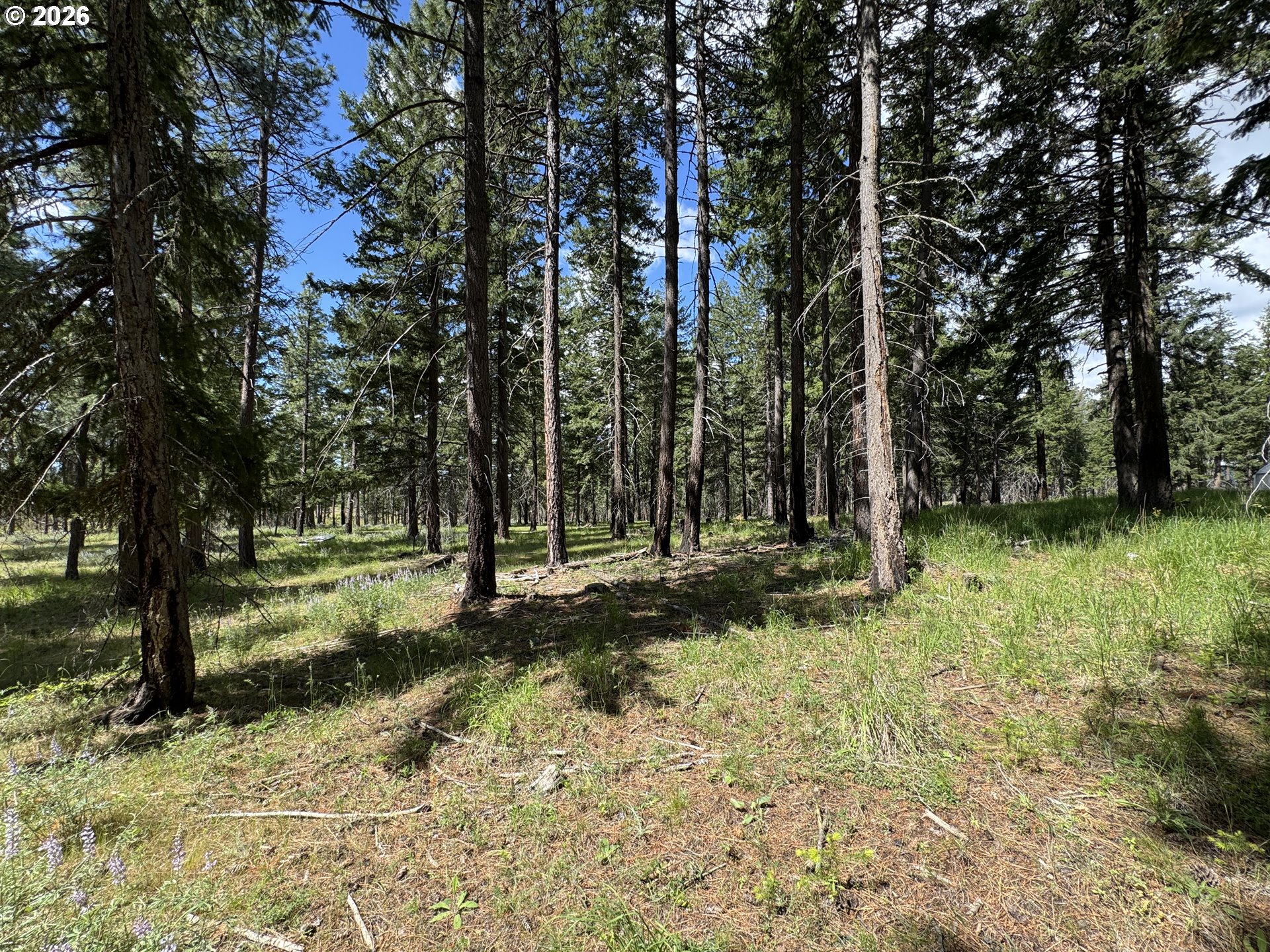 562 England Rd Property Photo 14