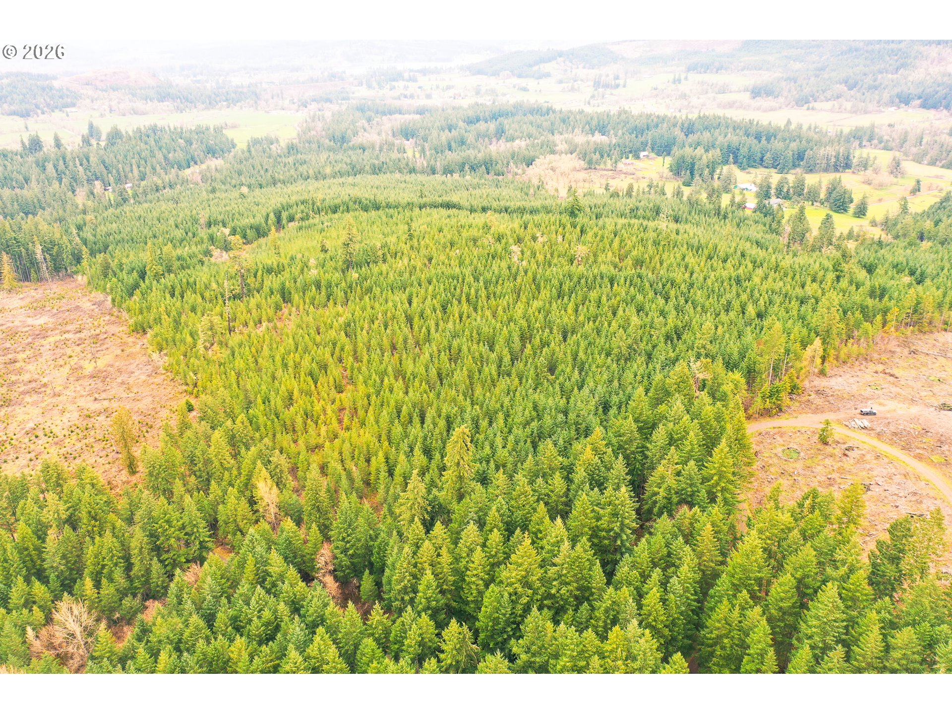 Anthony Creek Rd Tl700 Property Photo 1