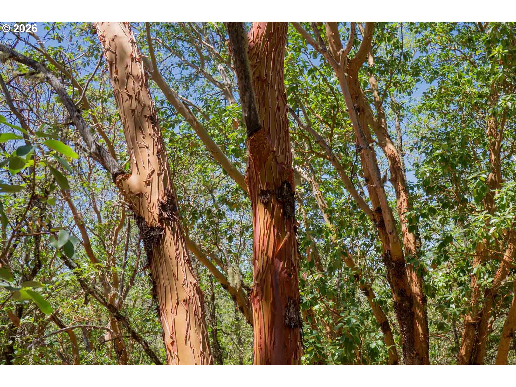 10364 Blackwell Rd Property Photo 13