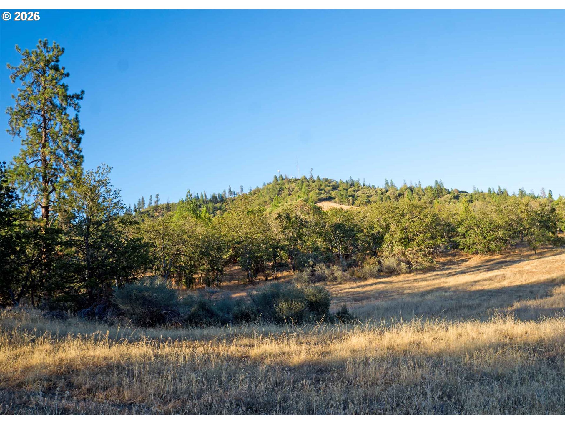 10364 Blackwell Rd Property Photo 14