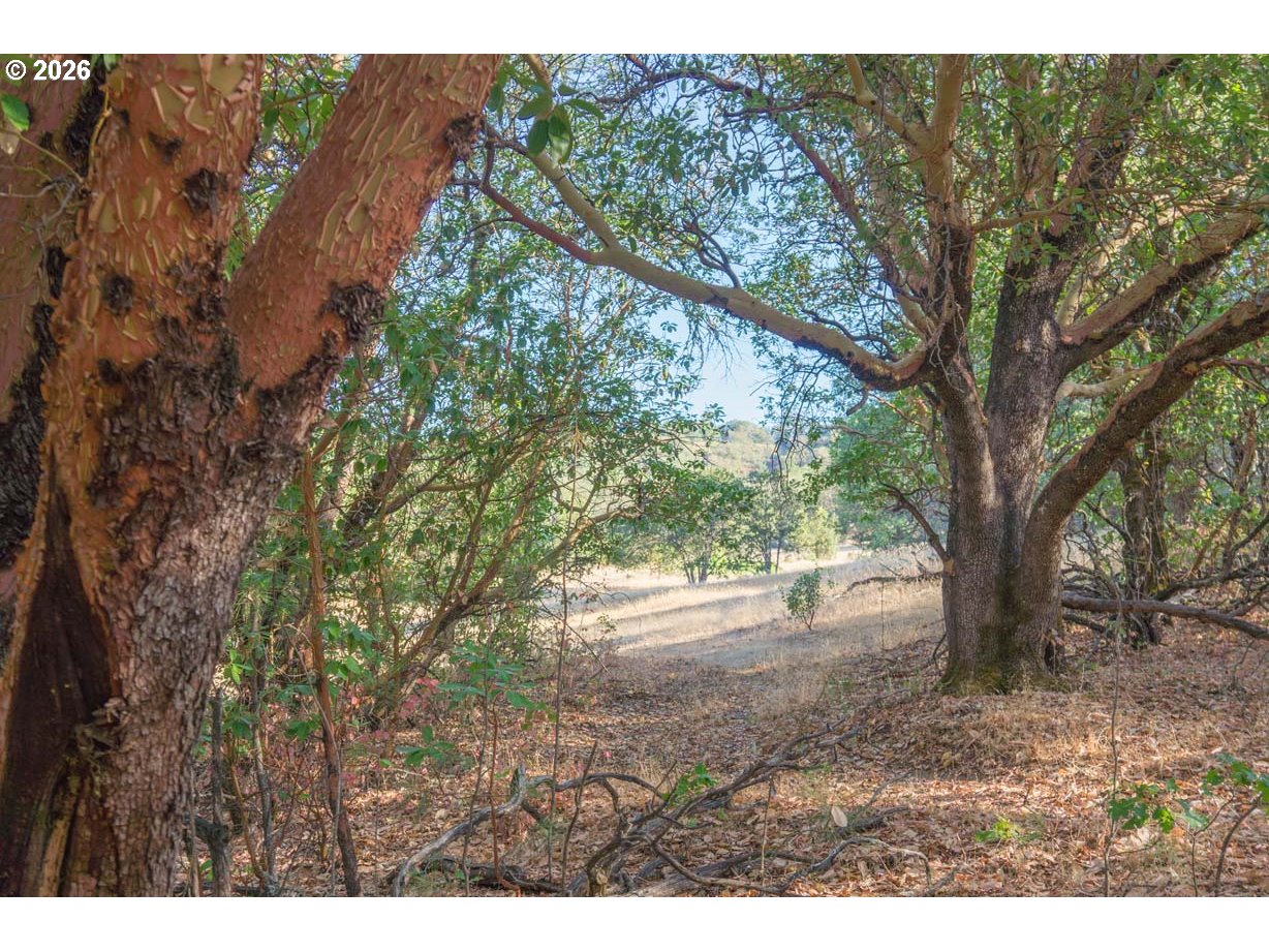 10364 Blackwell Rd Property Photo 16