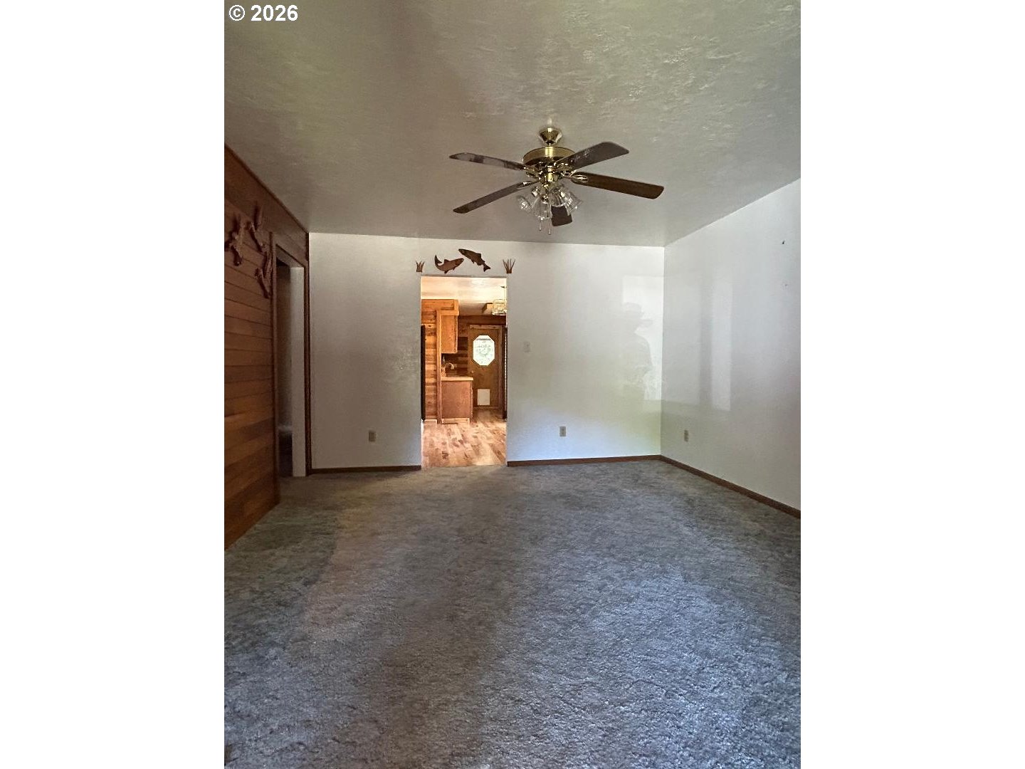 238 Dawson St Property Photo 6