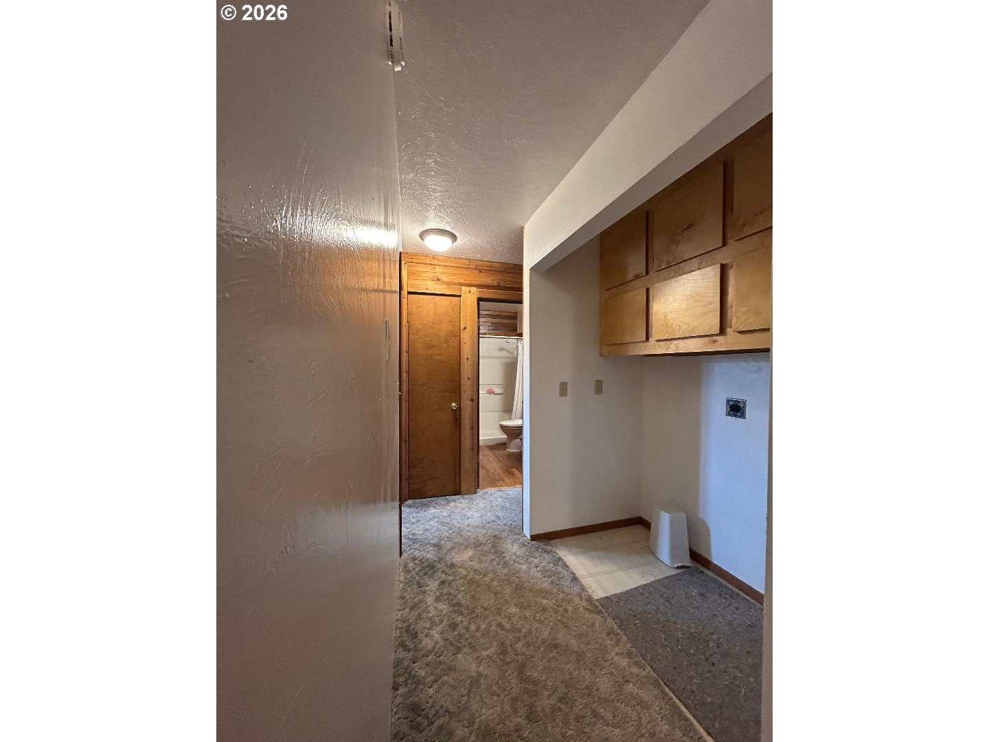238 Dawson St Property Photo 20
