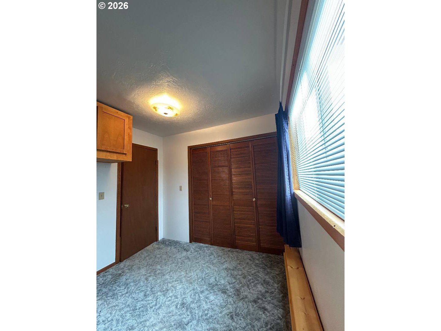 238 Dawson St Property Photo 22