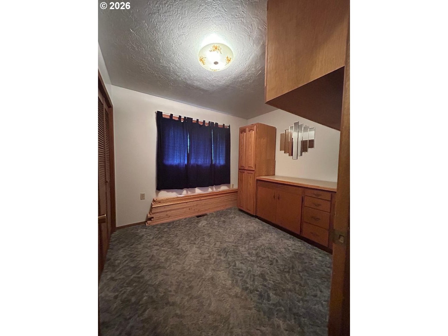 238 Dawson St Property Photo 24