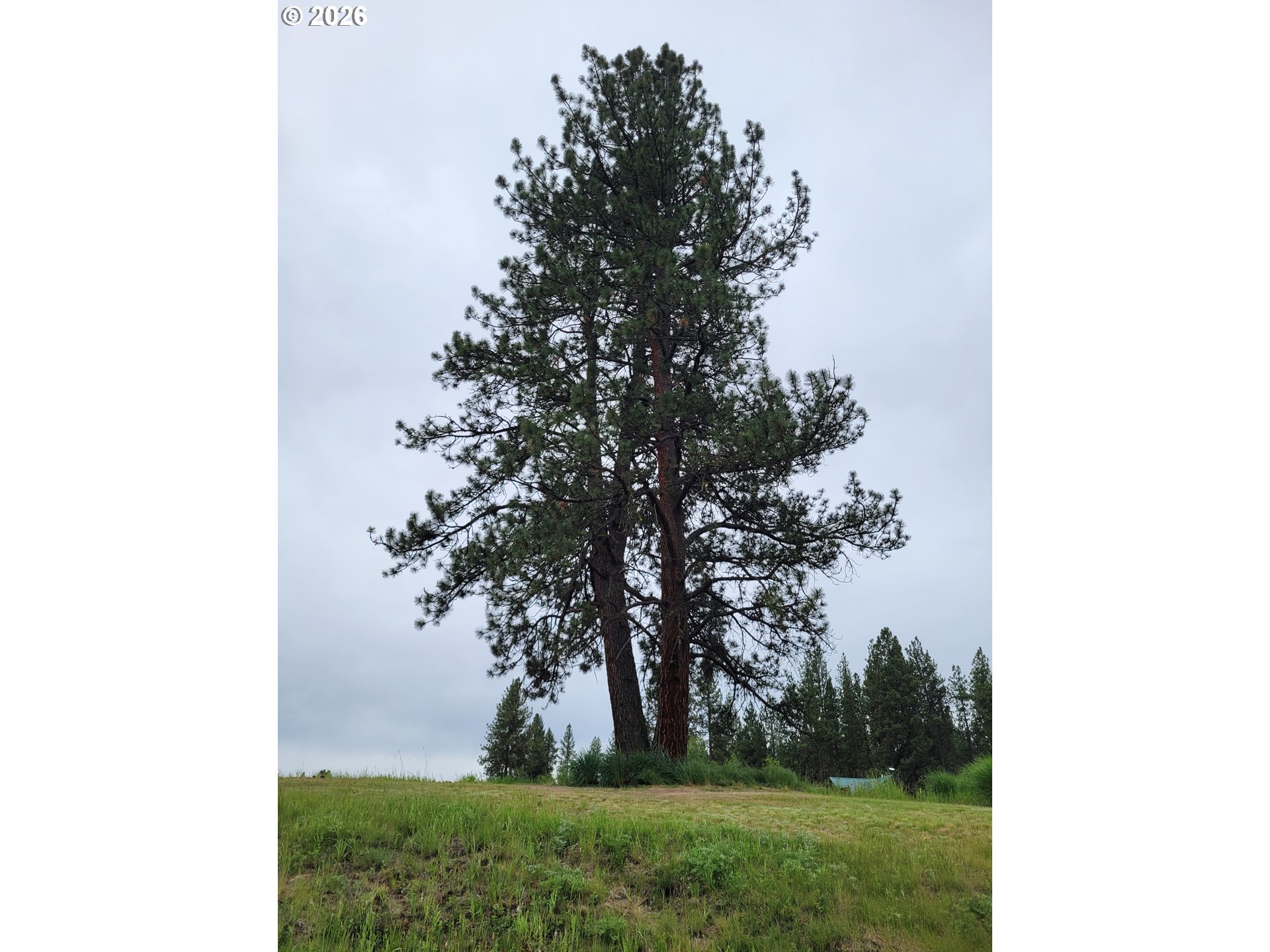 0 Coombs Loop Property Photo 1
