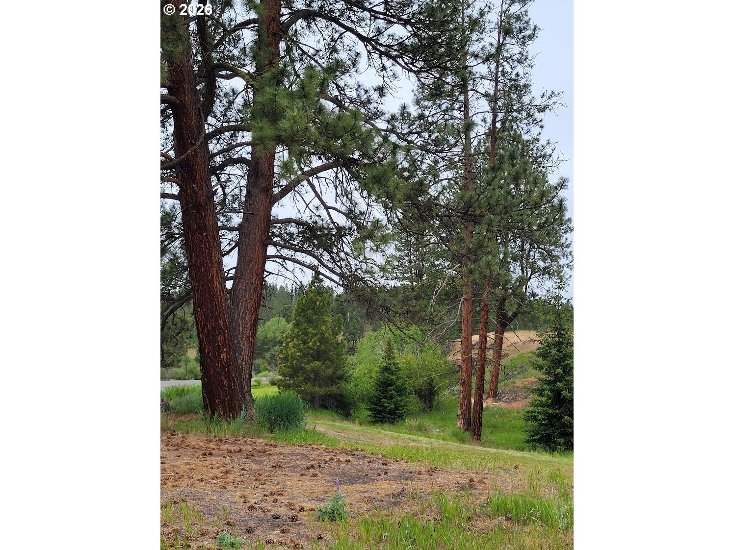 0 Coombs Loop Property Photo 2