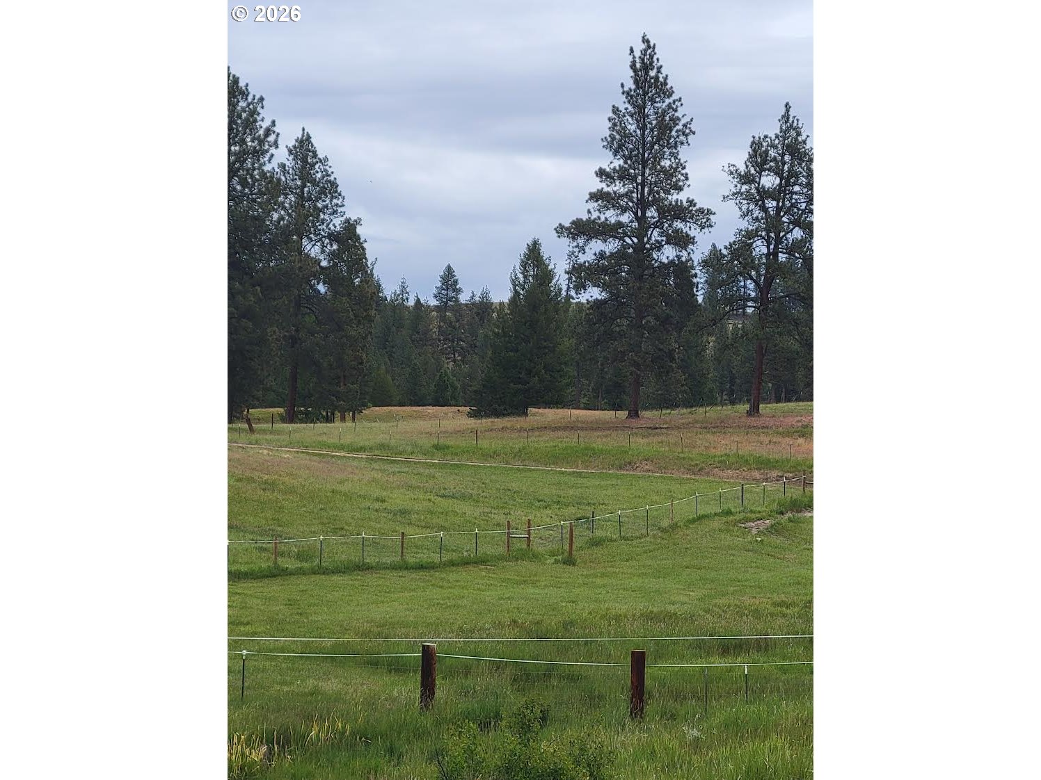 0 Coombs Loop Property Photo 4
