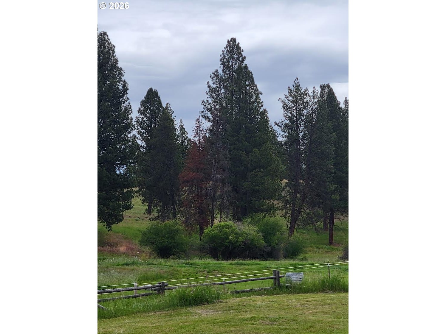 0 Coombs Loop Property Photo 5