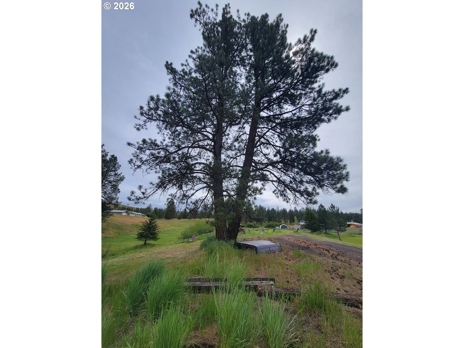 0 Coombs Loop Property Photo 10