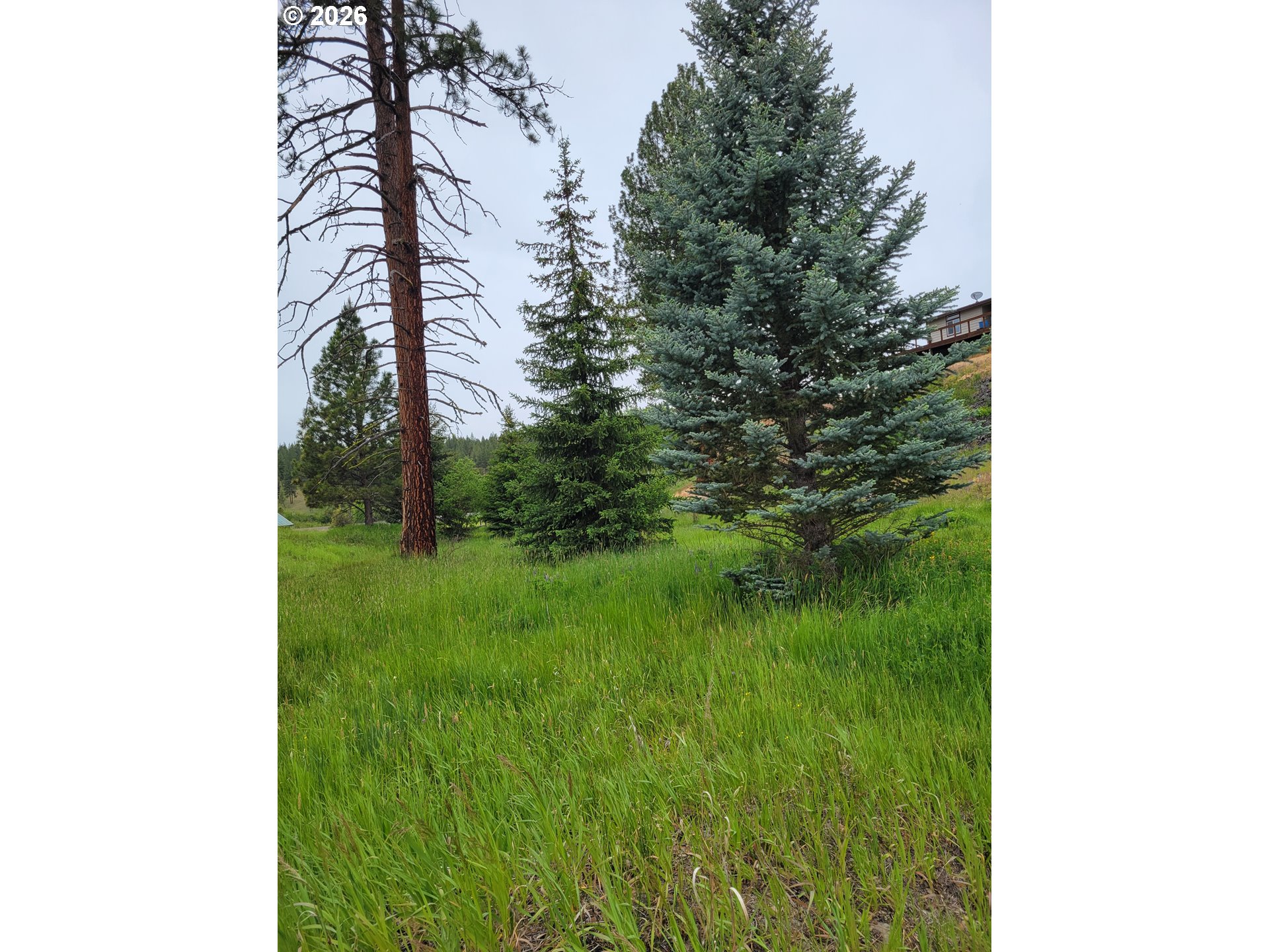0 Coombs Loop Property Photo 12