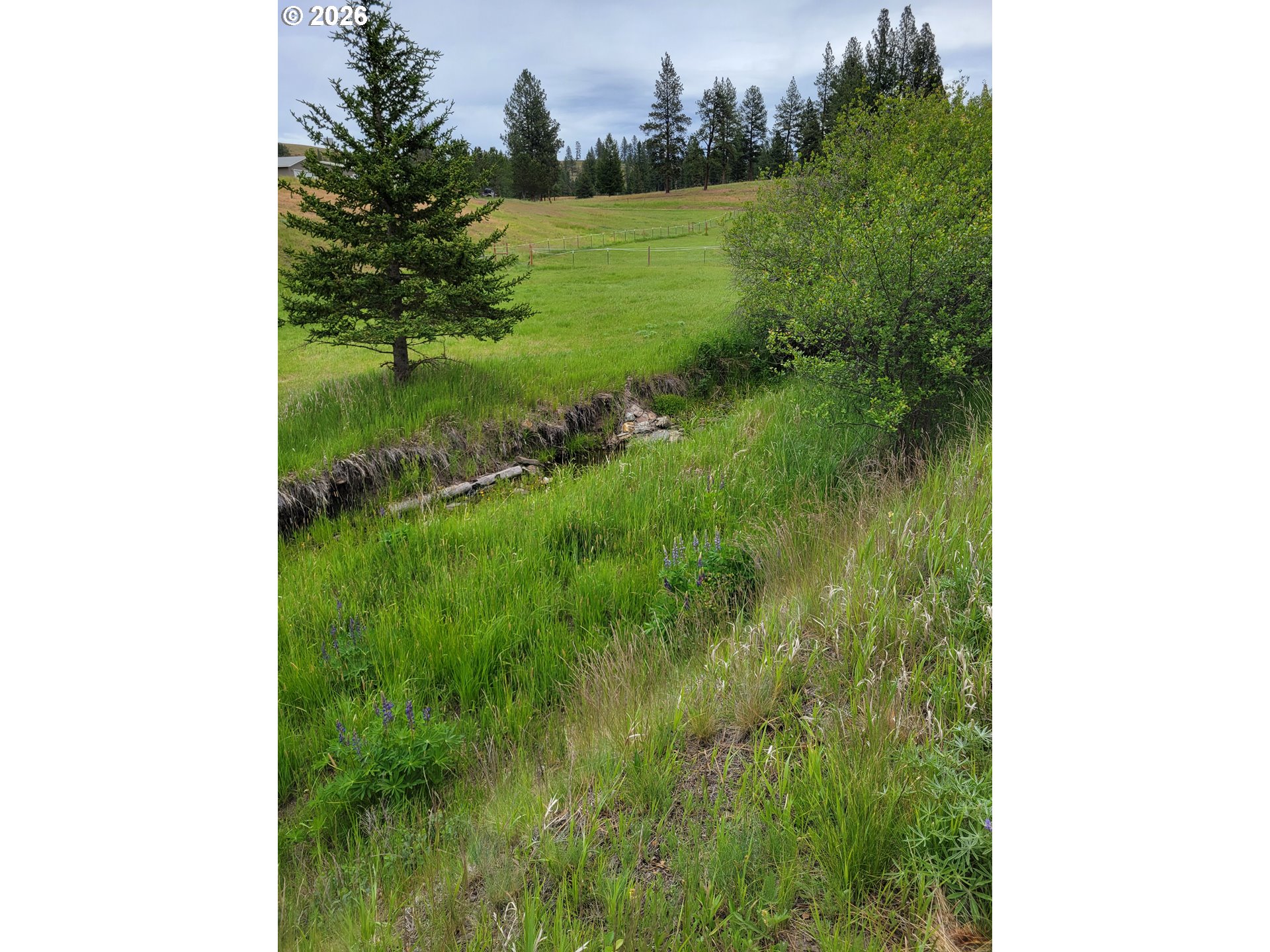 0 Coombs Loop Property Photo 13