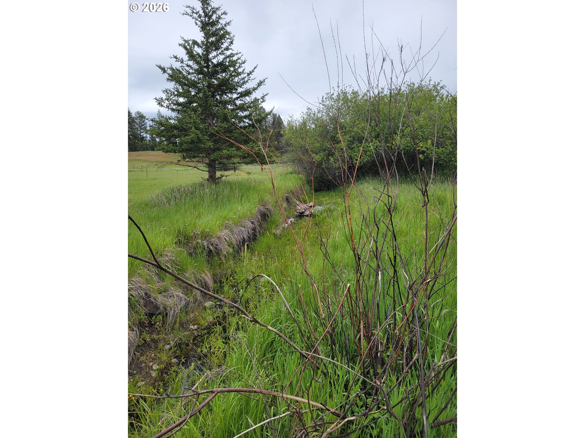 0 Coombs Loop Property Photo 14