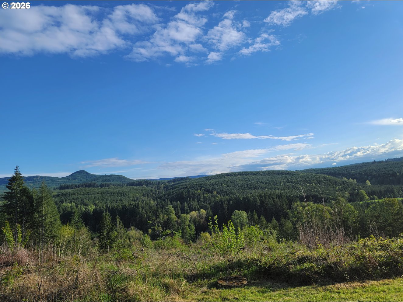 42255 Ames Creek Rd Property Photo 10