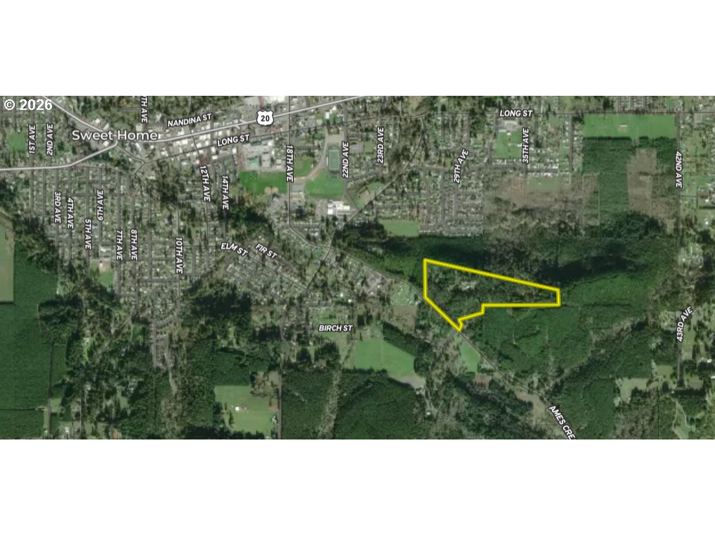 42255 Ames Creek Rd Property Photo 13