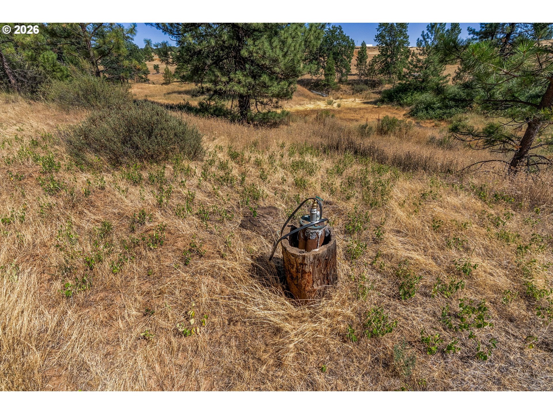 345 Bickelton Hwy Property Photo 7