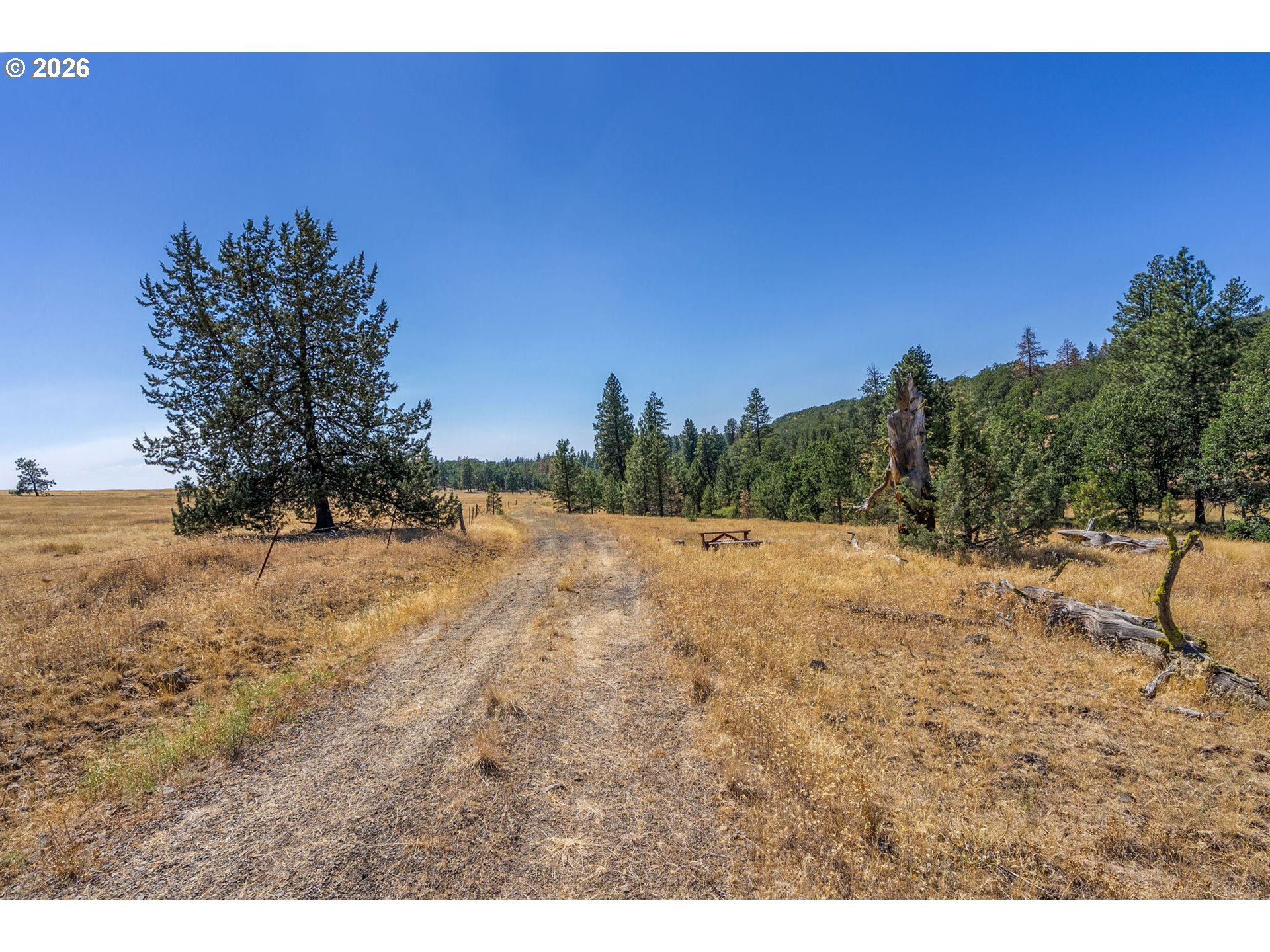 345 Bickelton Hwy Property Photo 10