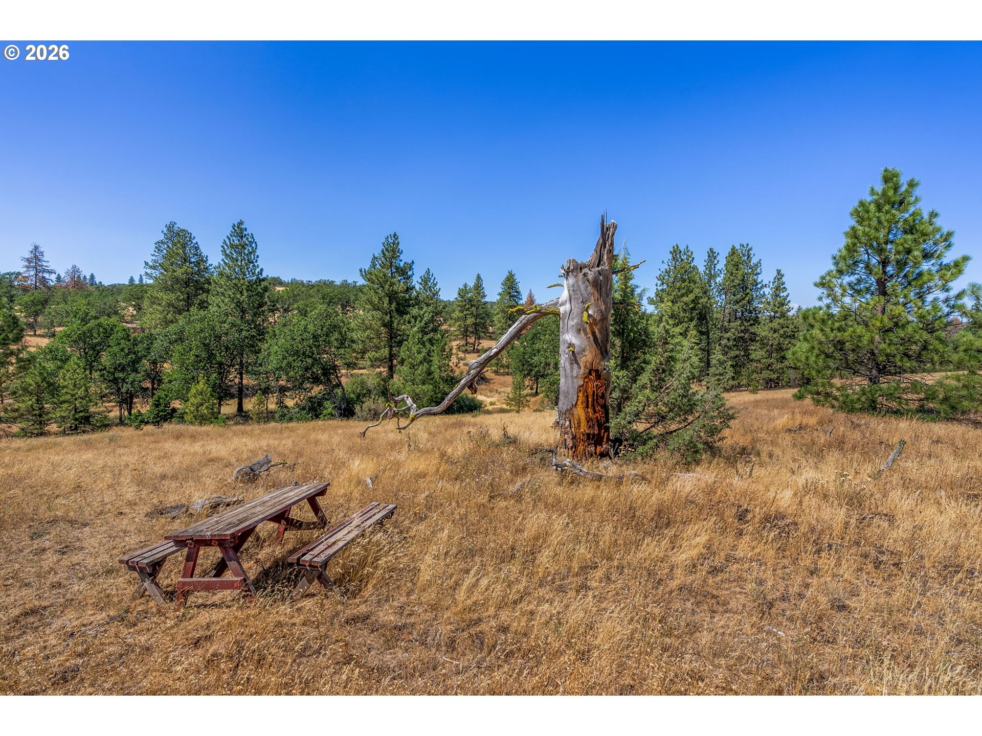 345 Bickelton Hwy Property Photo 11