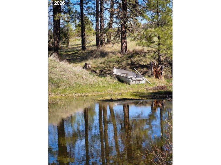 345 Bickelton Hwy Property Photo 13