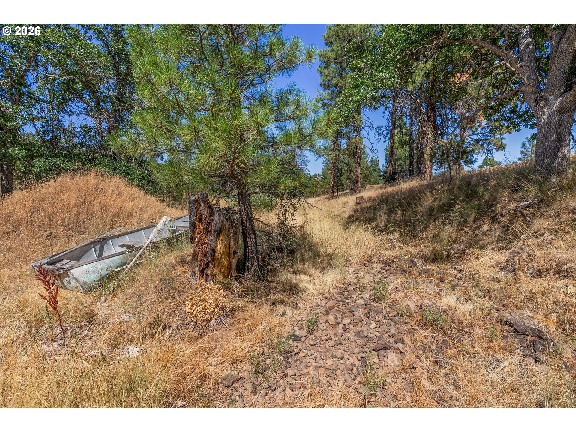 345 Bickelton Hwy Property Photo 14