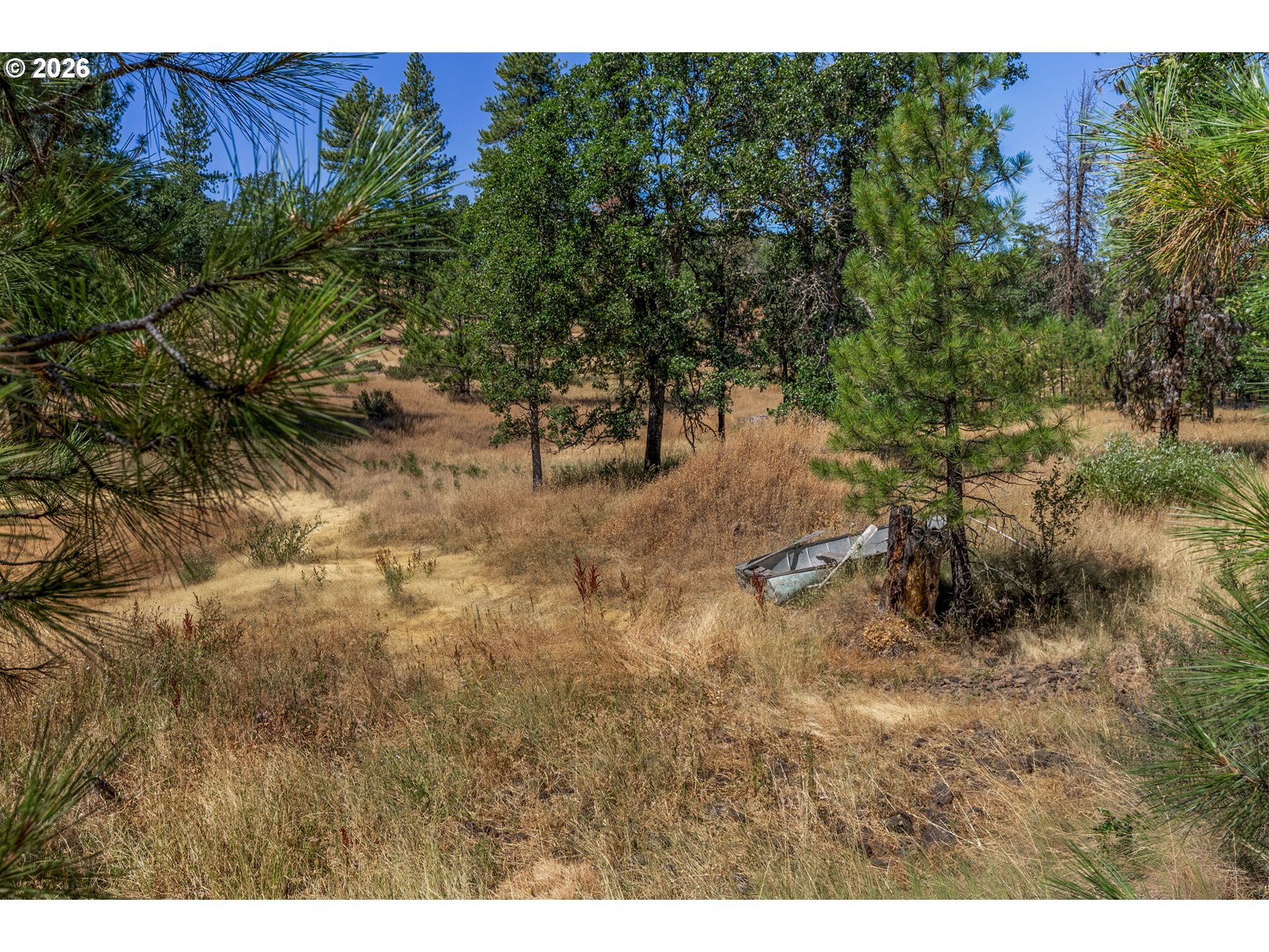 345 Bickelton Hwy Property Photo 15