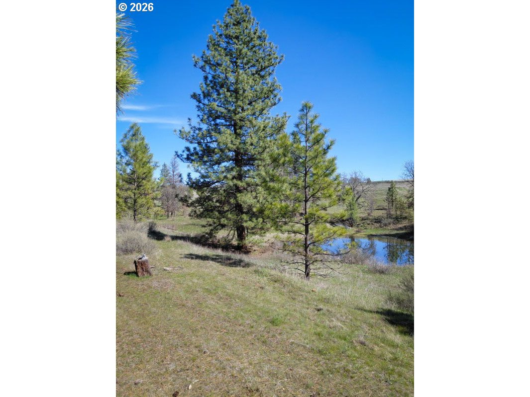 345 Bickelton Hwy Property Photo 18