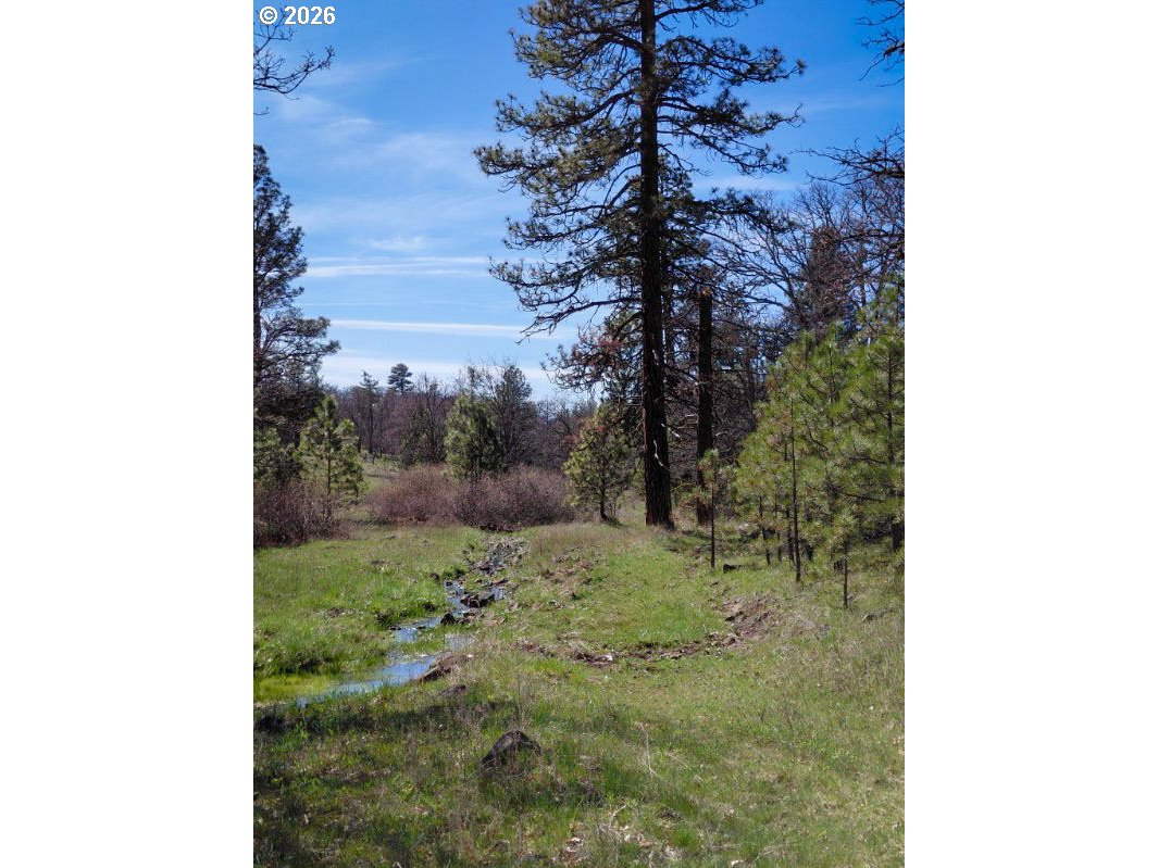 345 Bickelton Hwy Property Photo 19