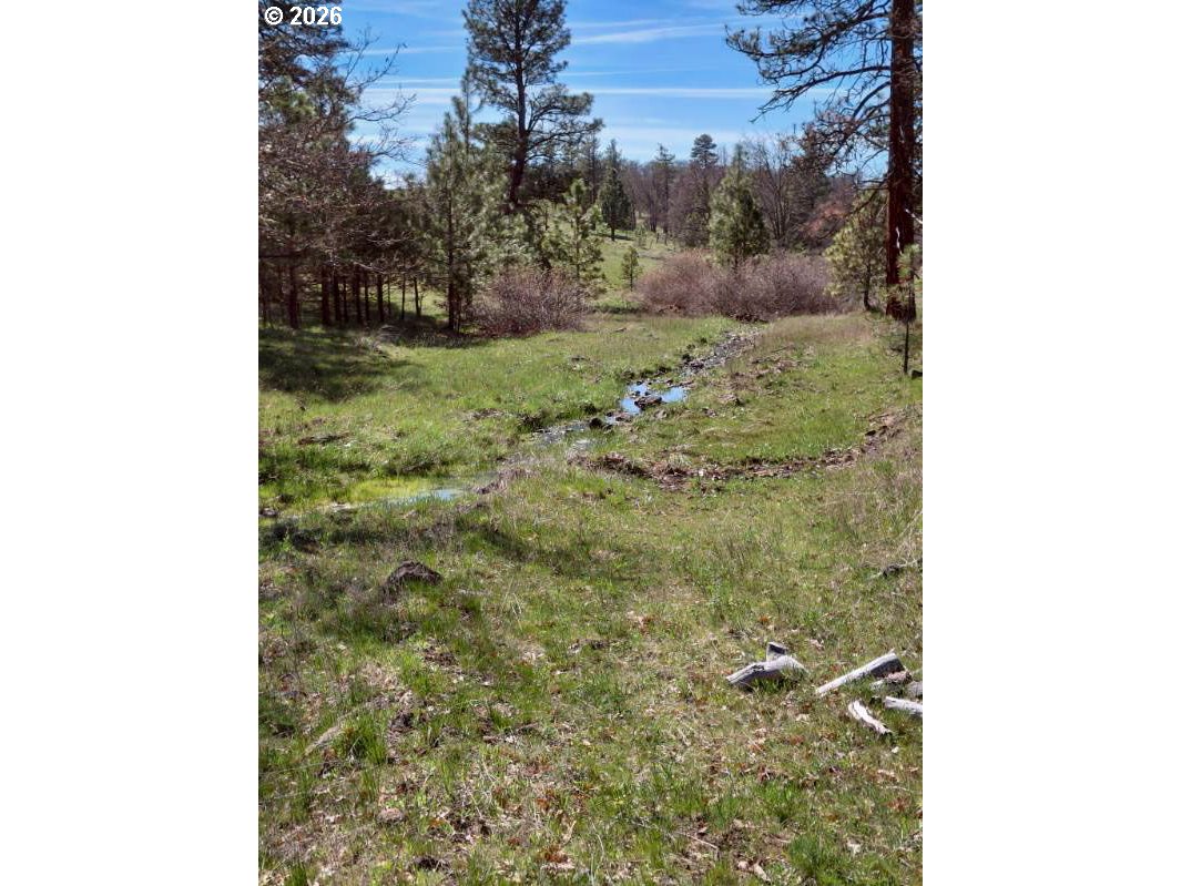 345 Bickelton Hwy Property Photo 20
