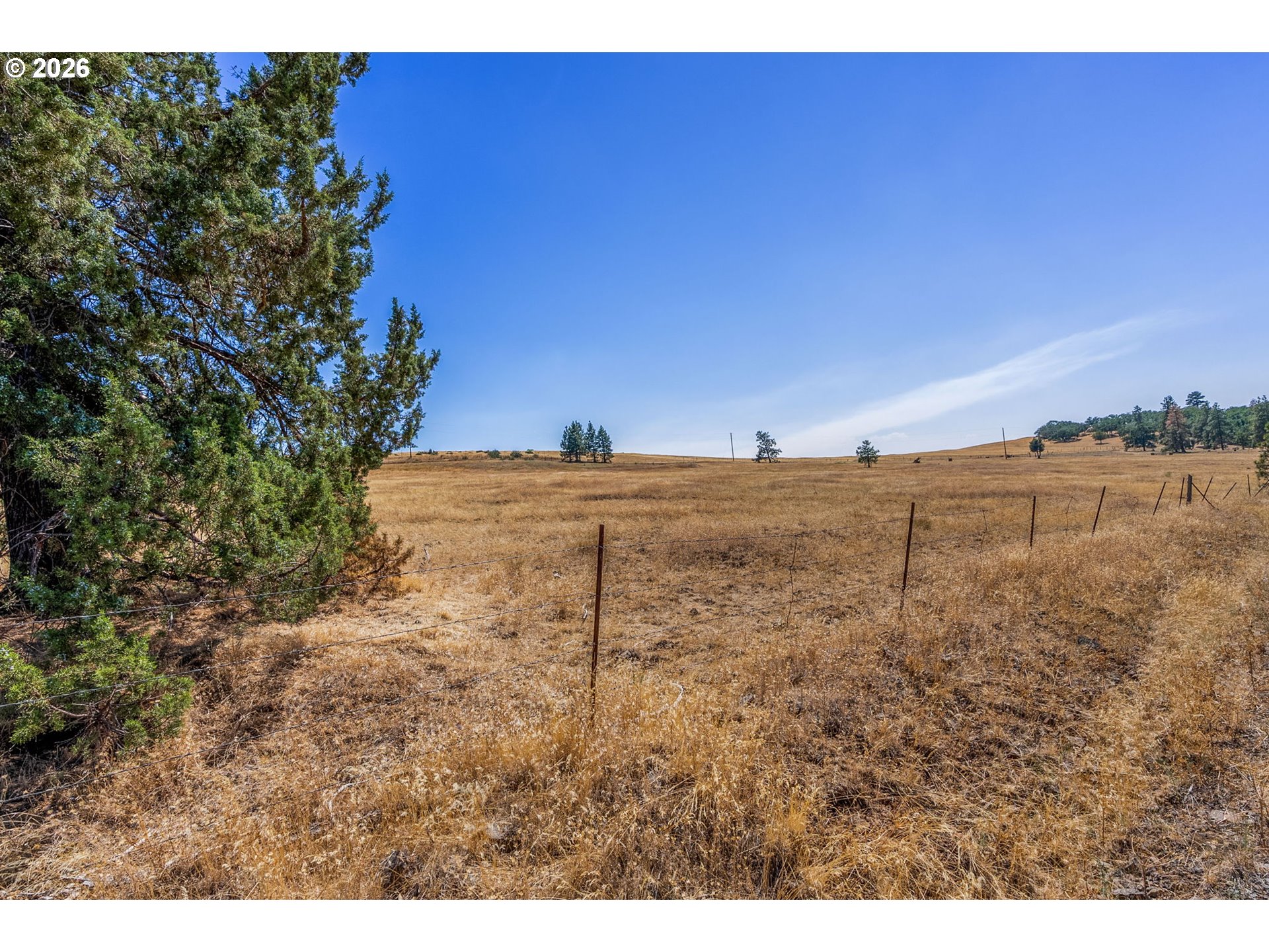 345 Bickelton Hwy Property Photo 22