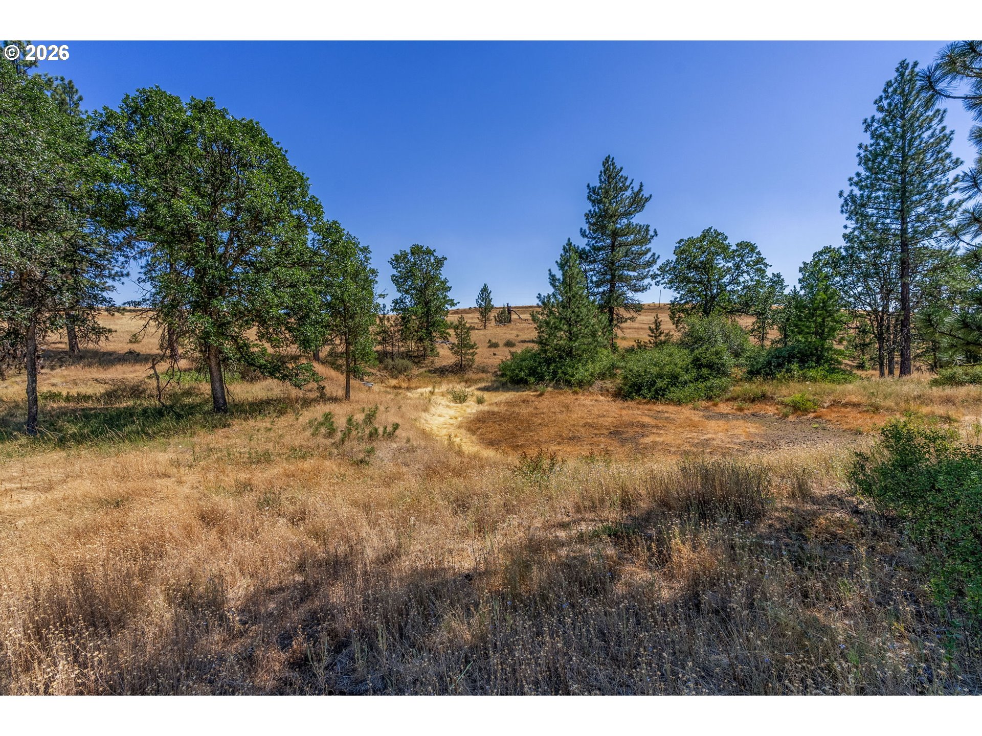 345 Bickelton Hwy Property Photo 24