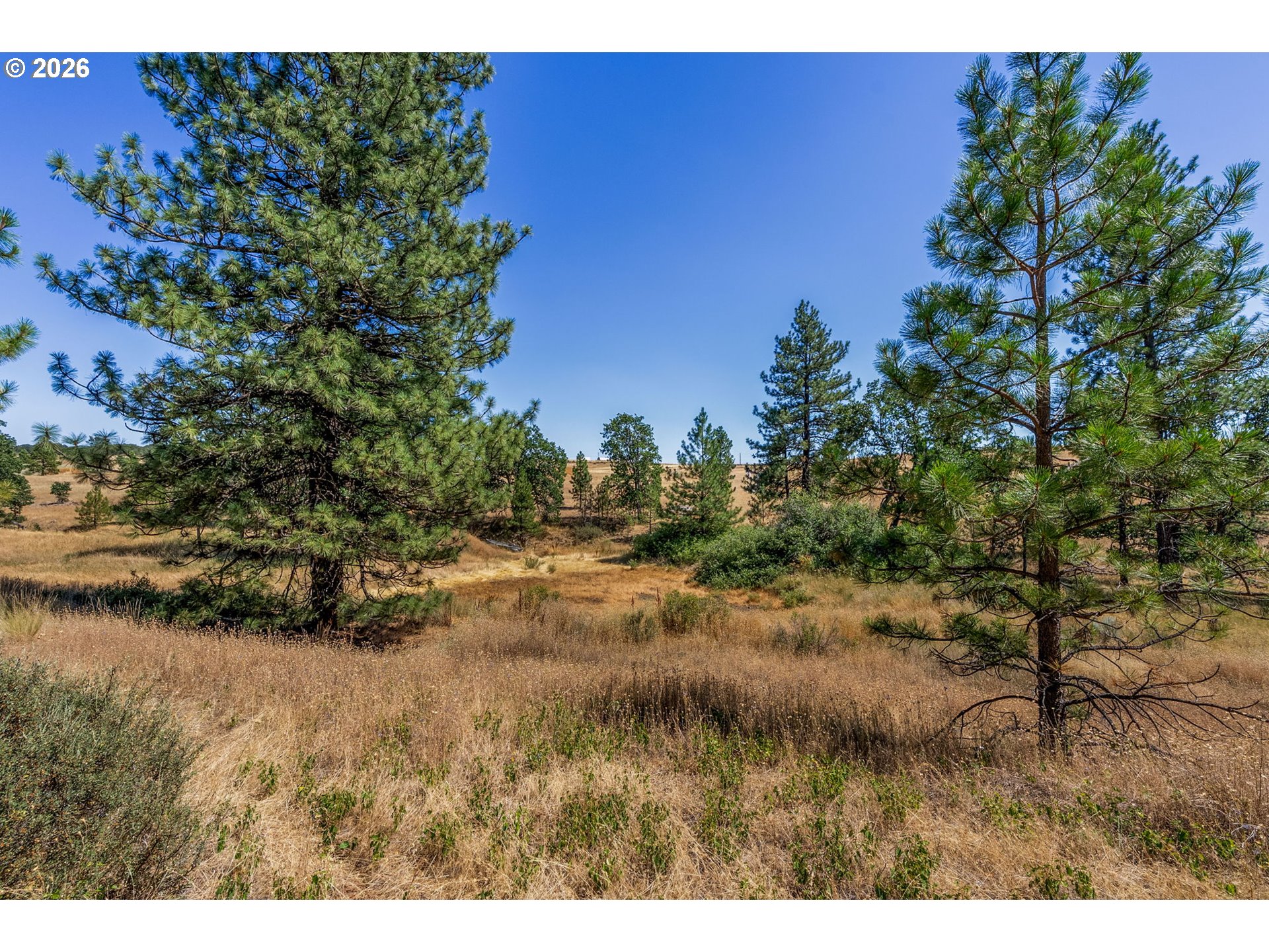 345 Bickelton Hwy Property Photo 25