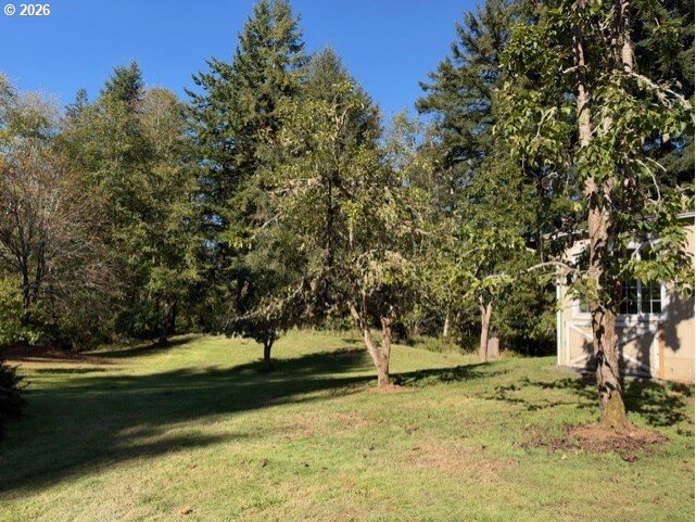 11620 Five Mile Rd Property Photo 15