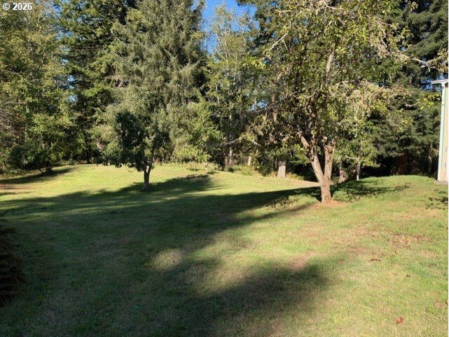 11620 Five Mile Rd Property Photo 16
