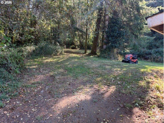 11620 Five Mile Rd Property Photo 19