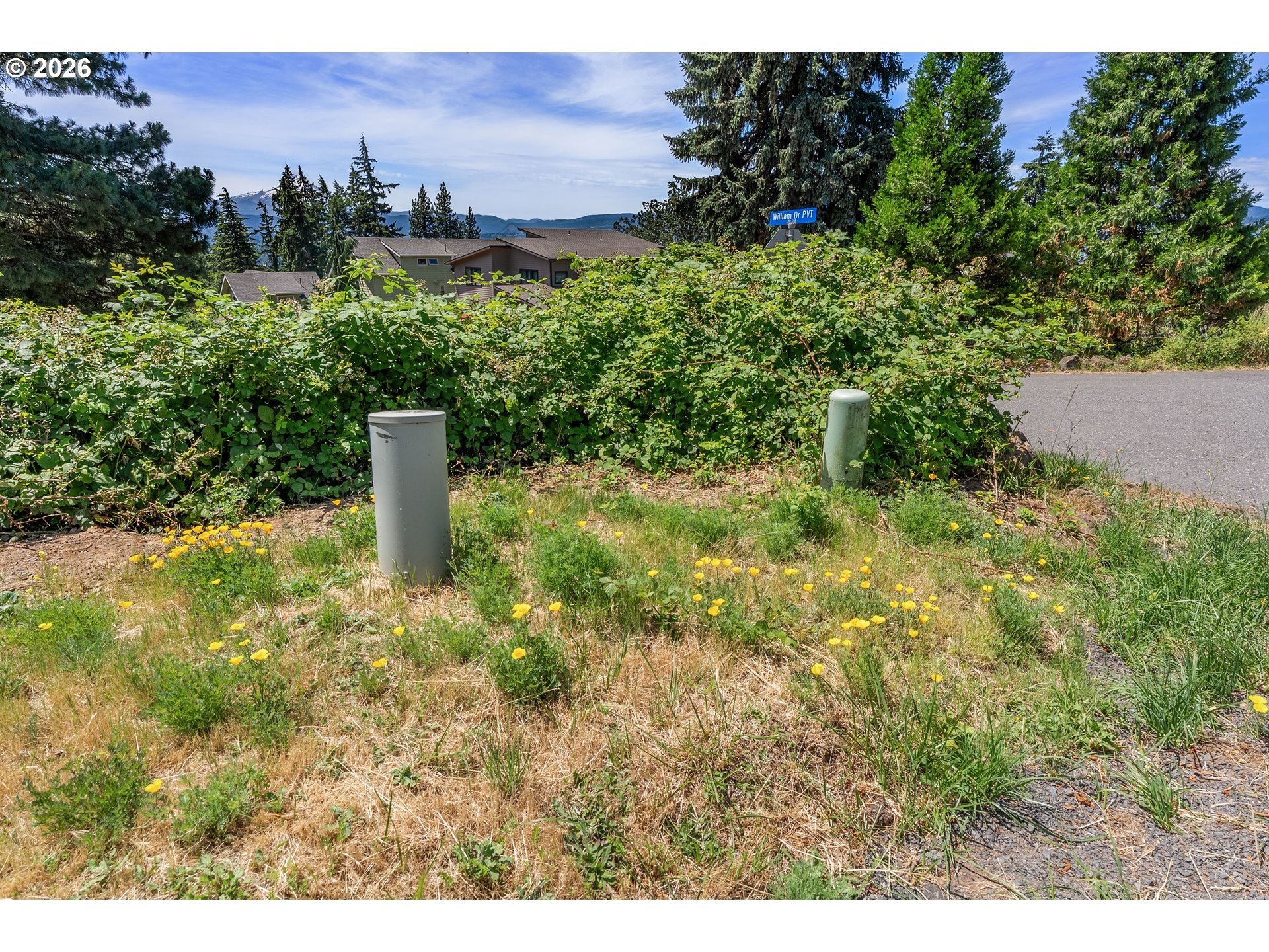 830 William Dr Property Photo 18