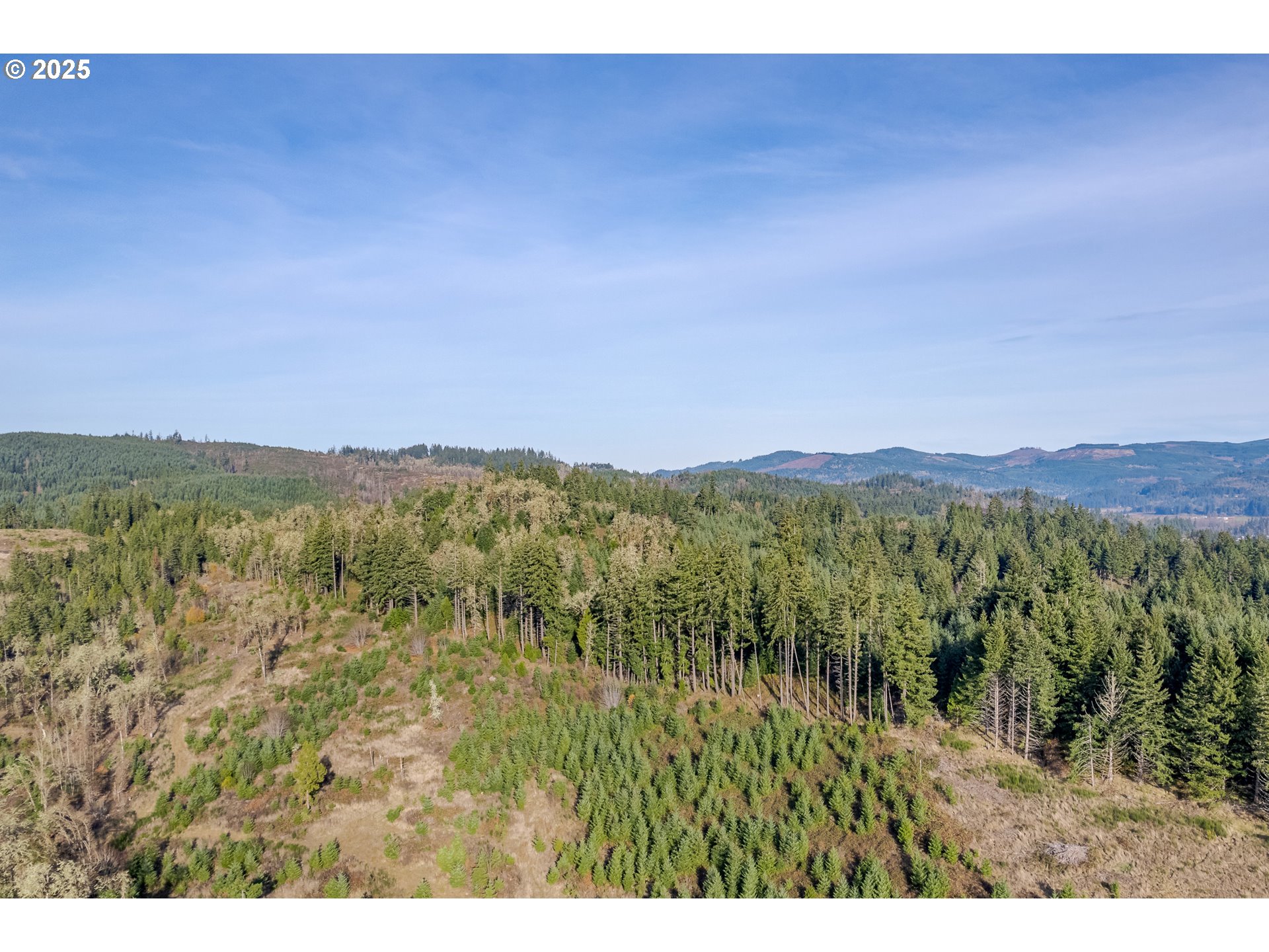 Holly - Lot 2 Property Photo 1