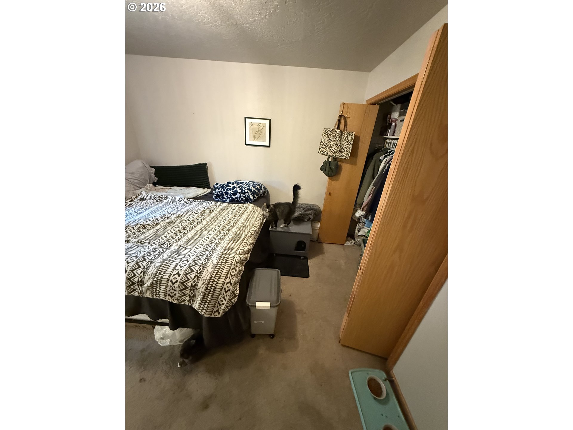 1397 Skipper Ave Property Photo 27