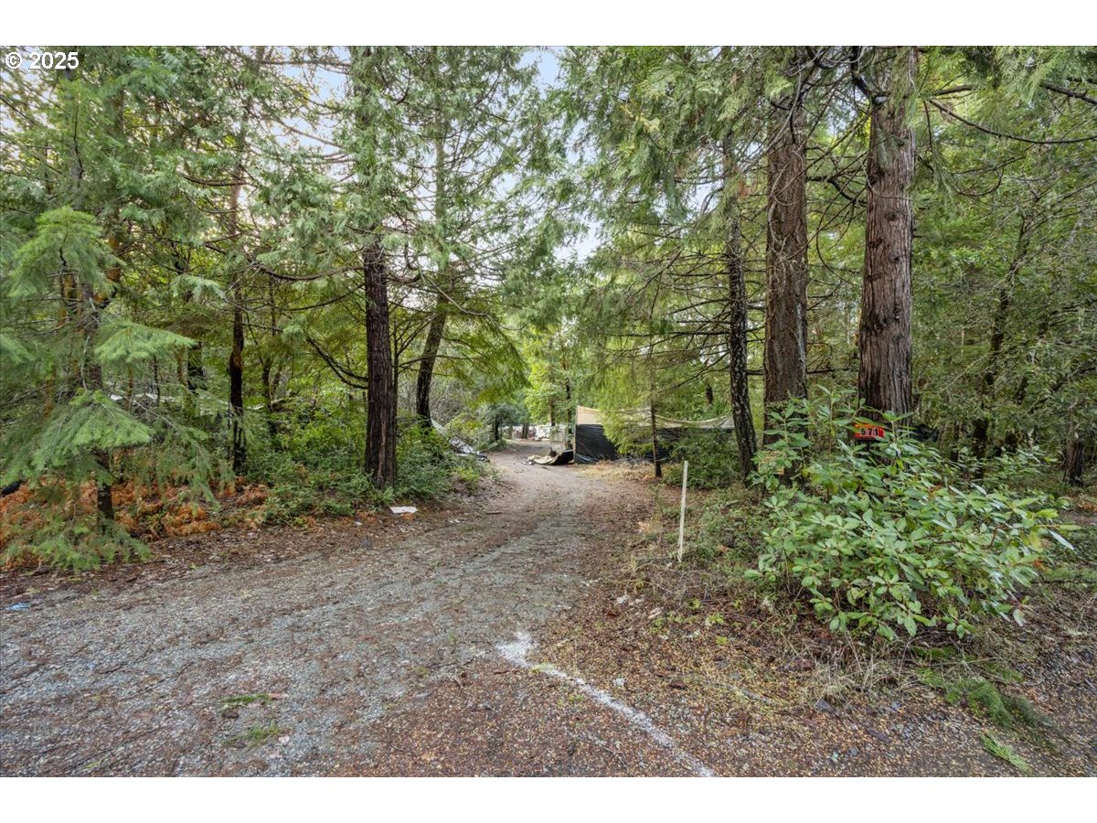 571 Briar Ln Property Photo 8