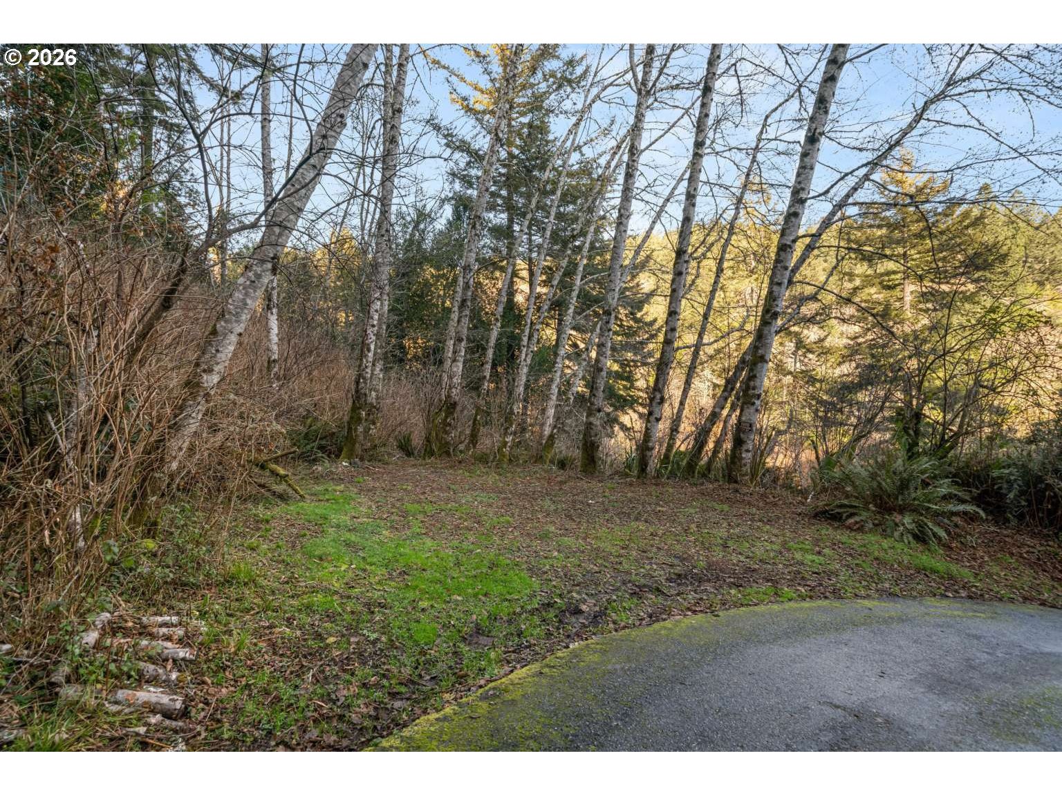 17285 Rustic Ln Property Photo 11